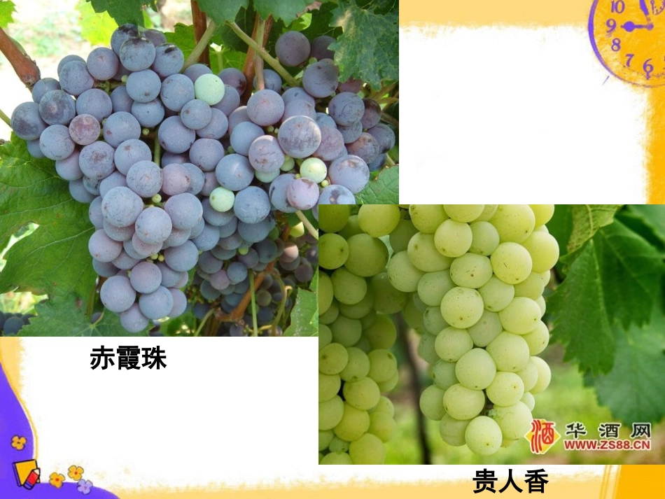 课题一_果酒果醋的制作_第3页