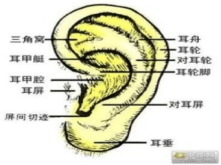 保护耳朵 (3)