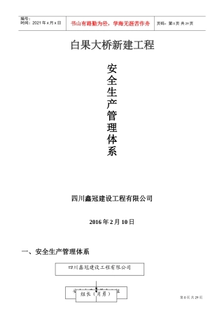 安全生产管理体系-责任体系(DOC35页)