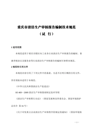 清洁生产审核报告技术规范