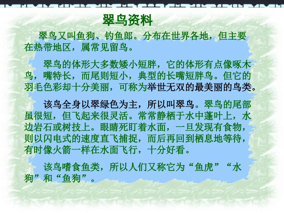 翠鸟 (4)课件_第2页