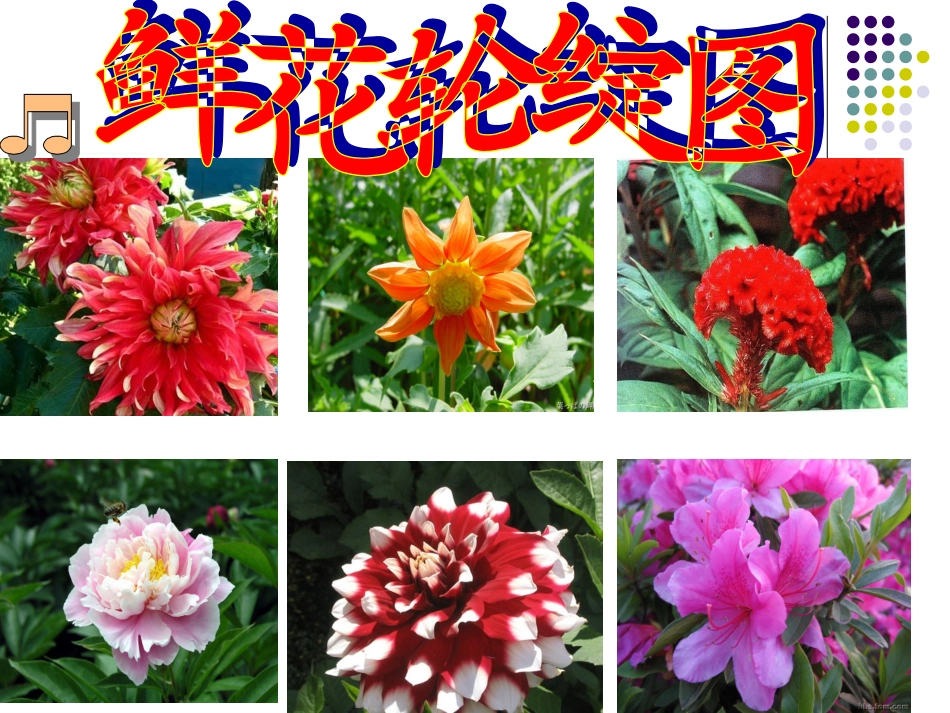 乡下人家课件_第3页