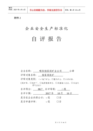 年安全生产标准自评报告