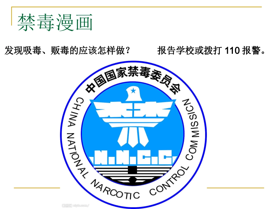 主题班会_珍惜生命_远离毒品_第3页