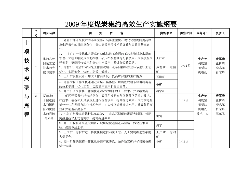 安全高效实施纲要doc_第1页