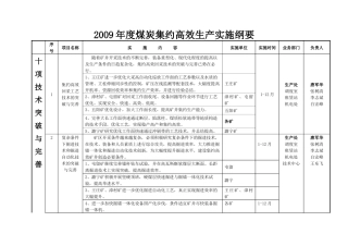 安全高效实施纲要doc