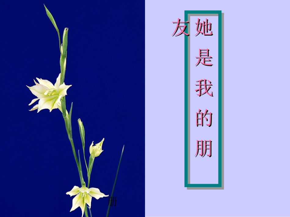 他是我的朋友_第1页