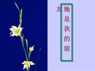 他是我的朋友