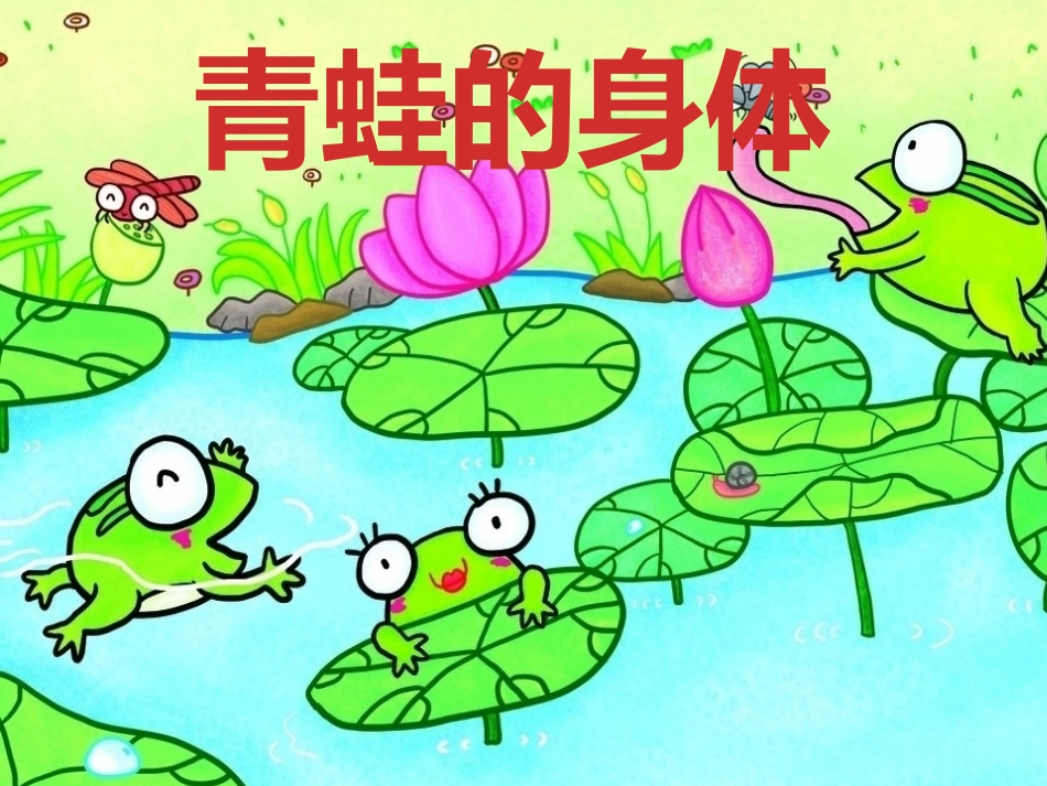 青蛙的身体课件_第1页