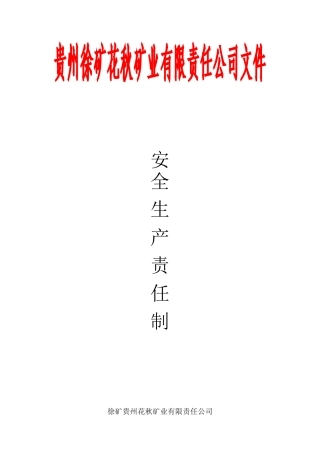 安全生产责任制(DOC161页)