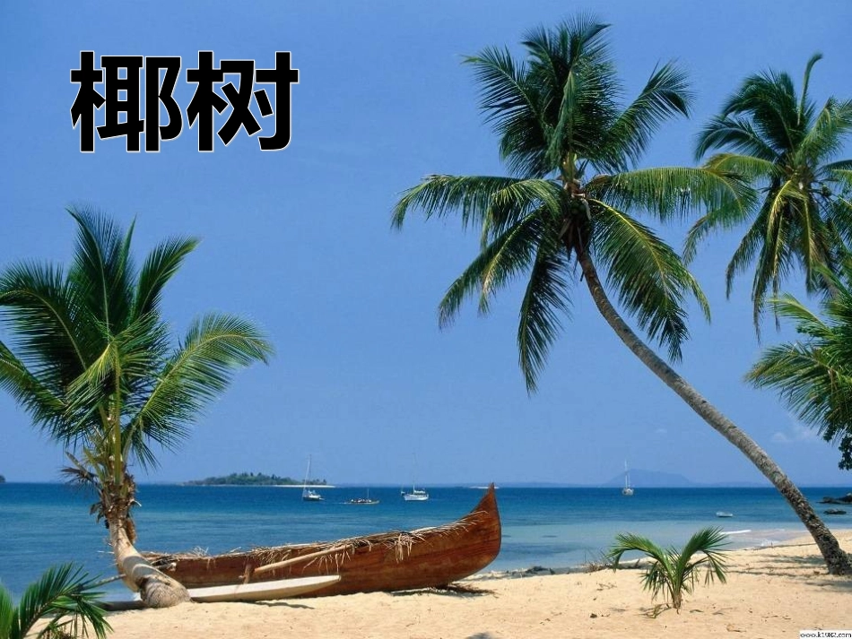 奇异的植物世界_第2页