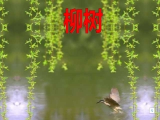 奇异的植物世界