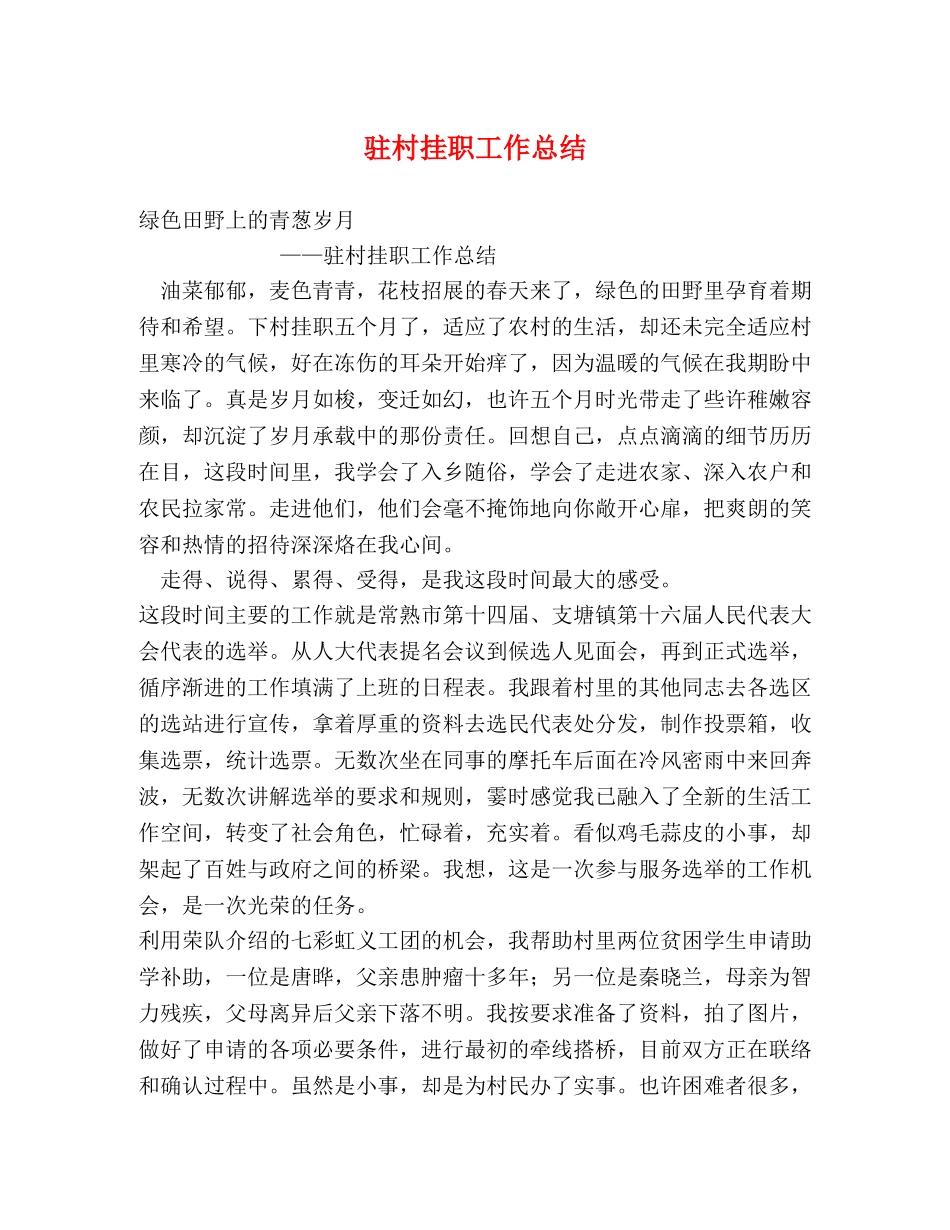 驻村挂职工作总结 _第1页