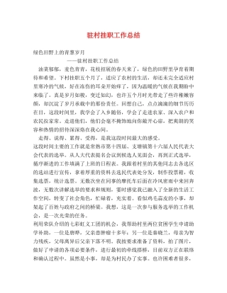 驻村挂职工作总结 