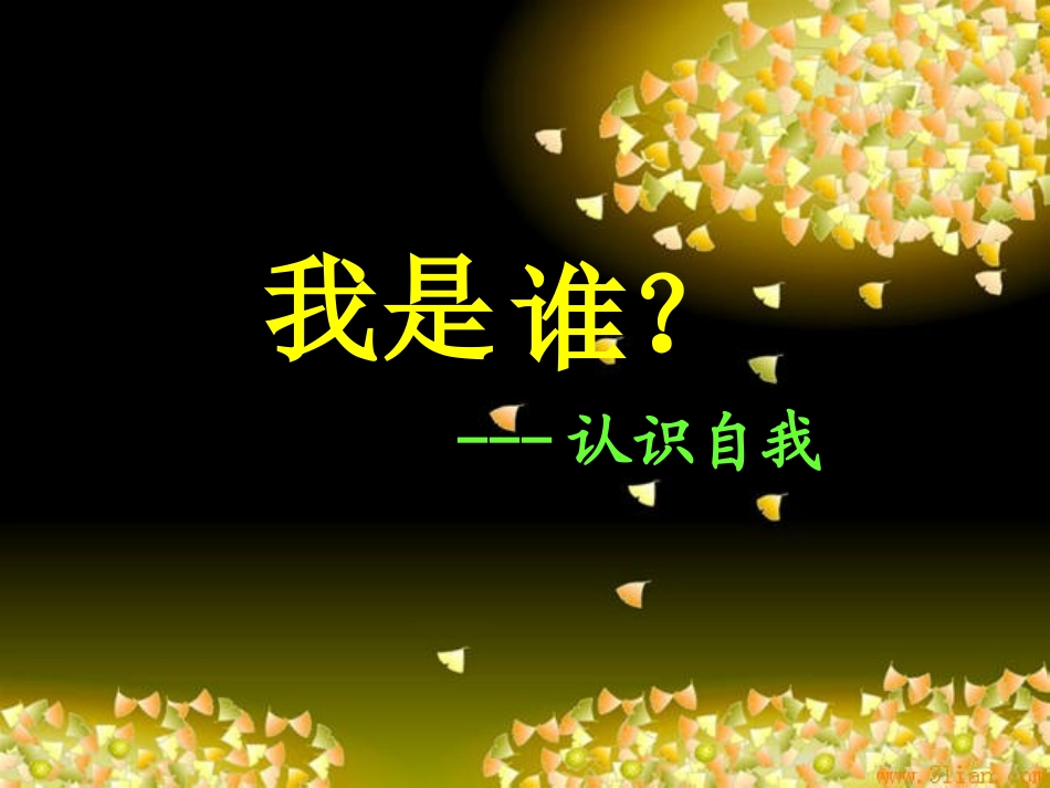 我是谁？课件_第2页