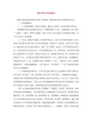 驻村干部工作总结格式 