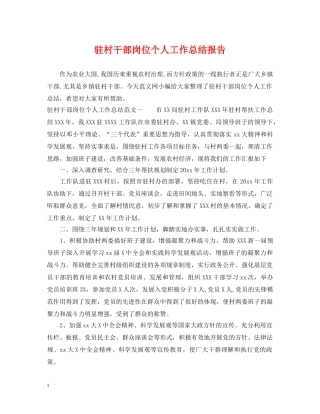 驻村干部岗位个人工作总结报告 
