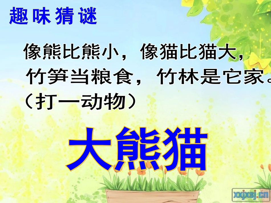 《大熊猫》课件_第2页