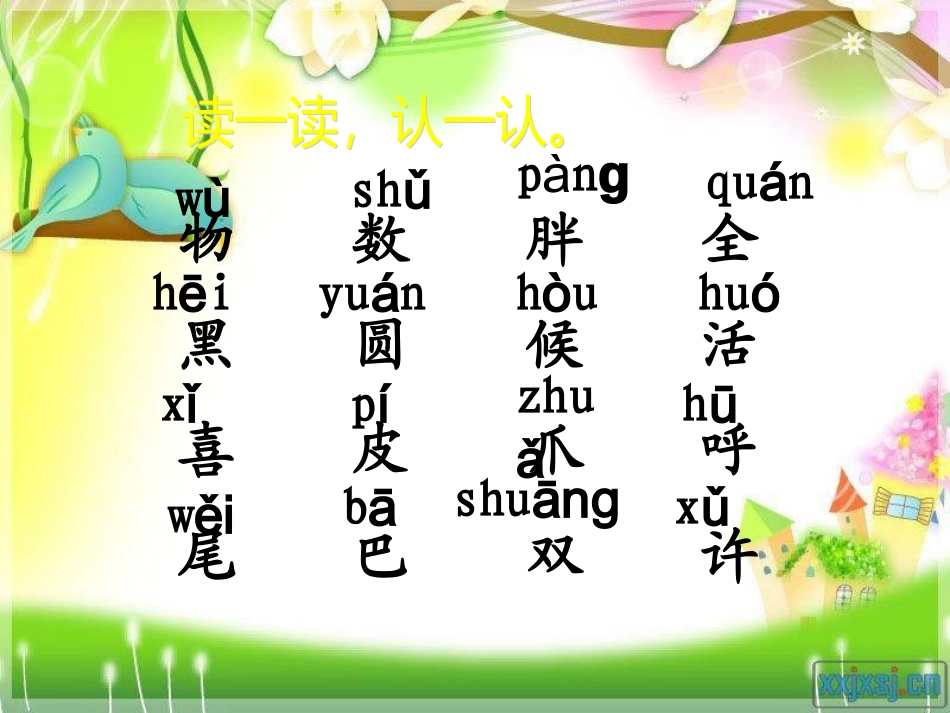 《大熊猫》课件_第3页