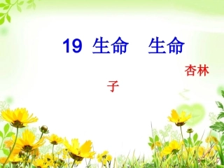 生命生命完美定稿