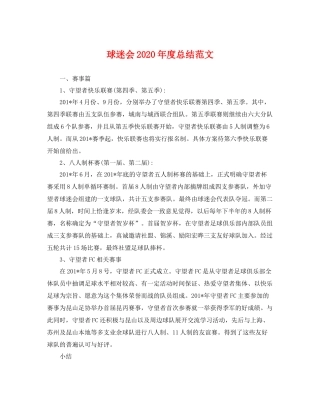 球迷会2020年度总结范文 
