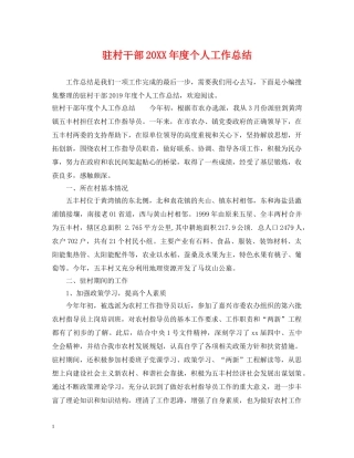 驻村干部20XX年度个人工作总结 