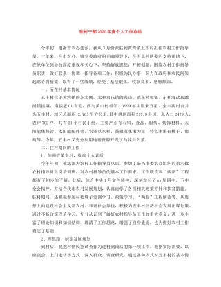驻村干部2020年度个人工作总结 