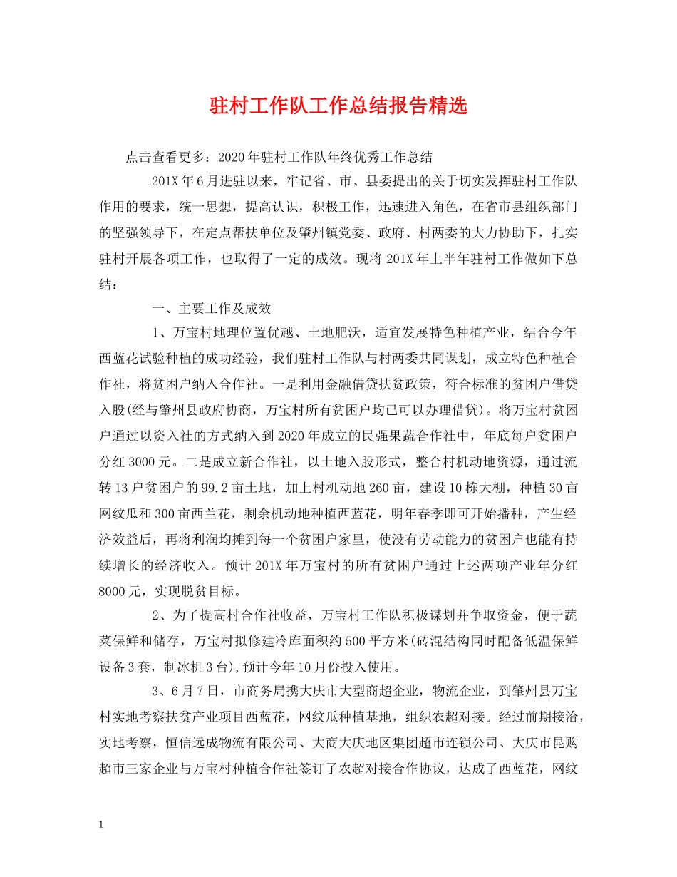 驻村工作队工作总结报告精选 _第1页
