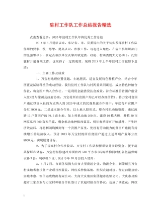 驻村工作队工作总结报告精选 