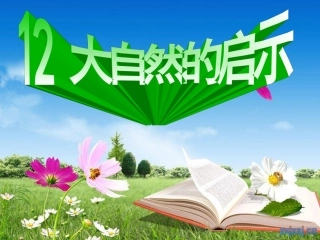 大自然的启示(完美版)