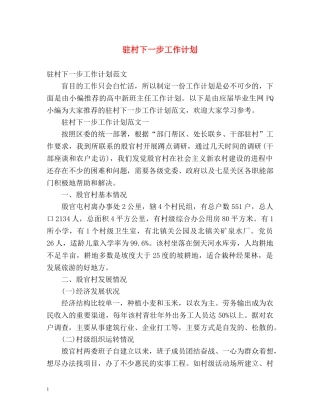 驻村下一步工作计划 