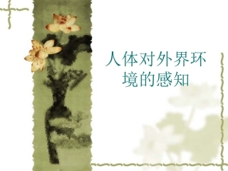 人体对外界环境的感知（眼和视觉）