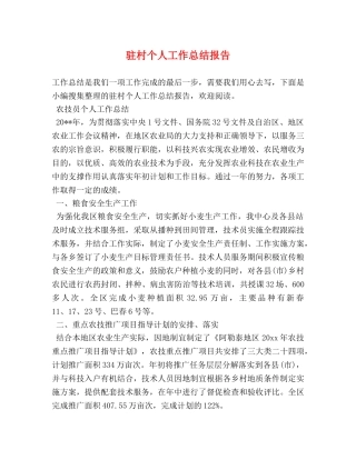 驻村个人工作总结报告 
