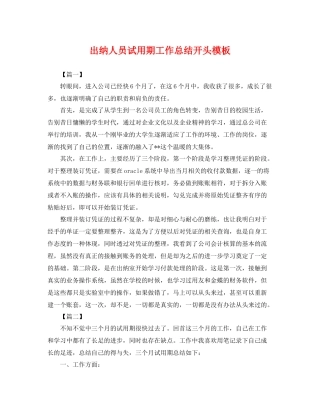 出纳人员试用期工作总结开头模板 