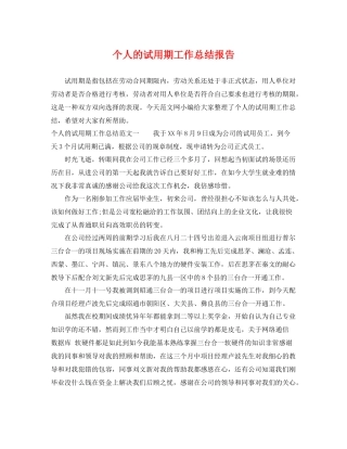 个人的试用期工作总结报告 
