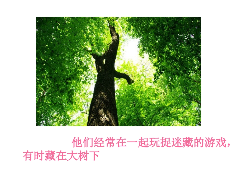 躲在哪里》课件_第3页