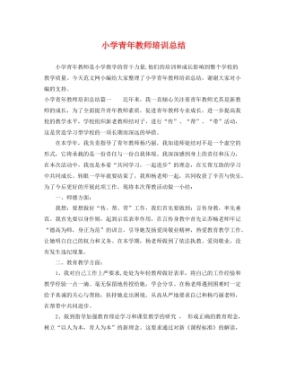 小学青年教师培训总结 