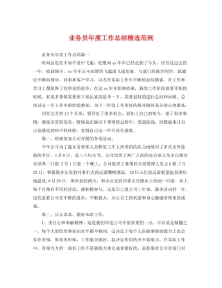 业务员年度工作总结精选范例 