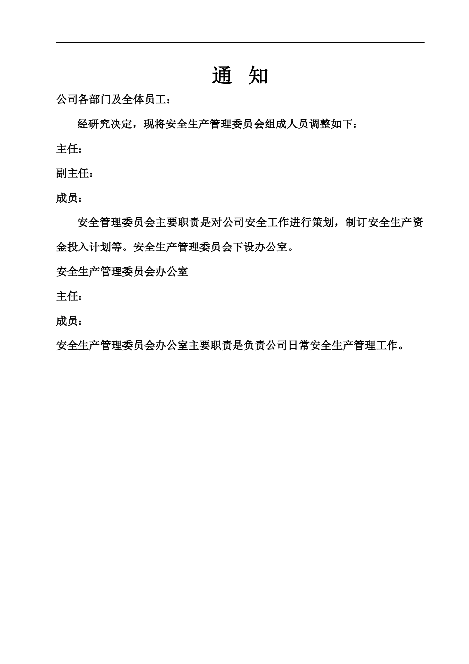 某有限公司安全生产管理资料--daniel1057_第3页