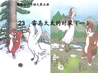 雷鸟太太的时装(一)