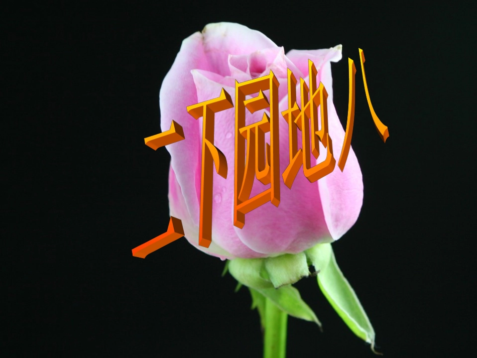 语文园地八(修改)_第1页
