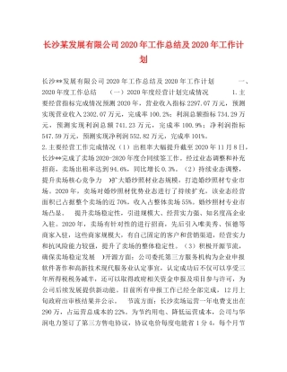 长沙某发展有限公司2020年工作总结及2020年工作计划 