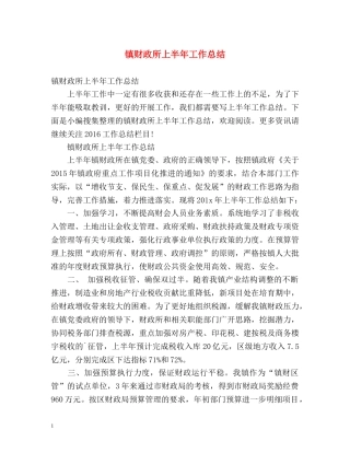 镇财政所上半年工作总结 