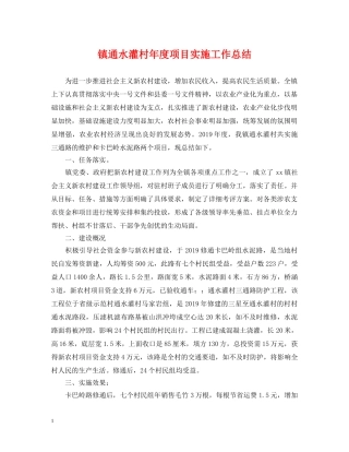 镇通水灌村年度项目实施工作总结 