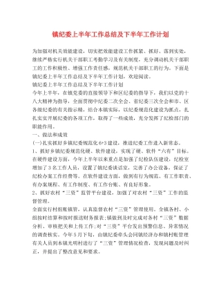镇纪委上半年工作总结及下半年工作计划 