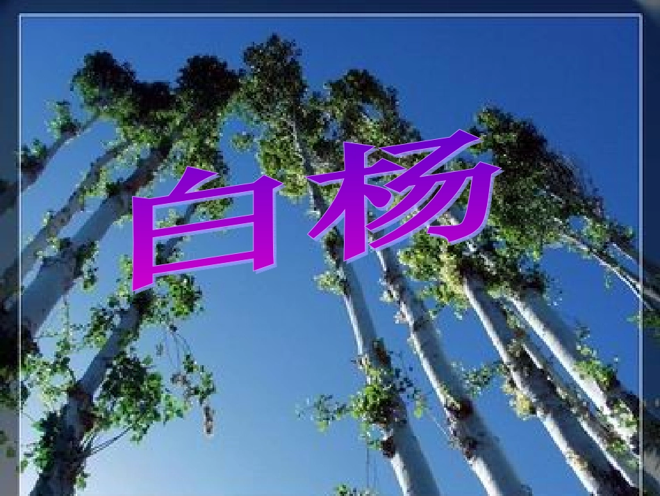 五年级下册__白杨_第1页
