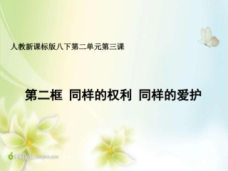 八下232同样的权利同样的爱护课件