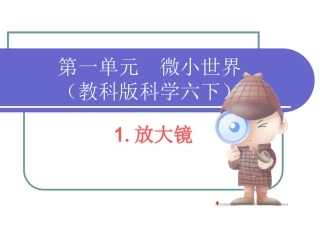 六下11放大镜