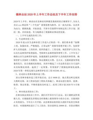 镇林业站2020年上半年工作总结及下半年工作安排 