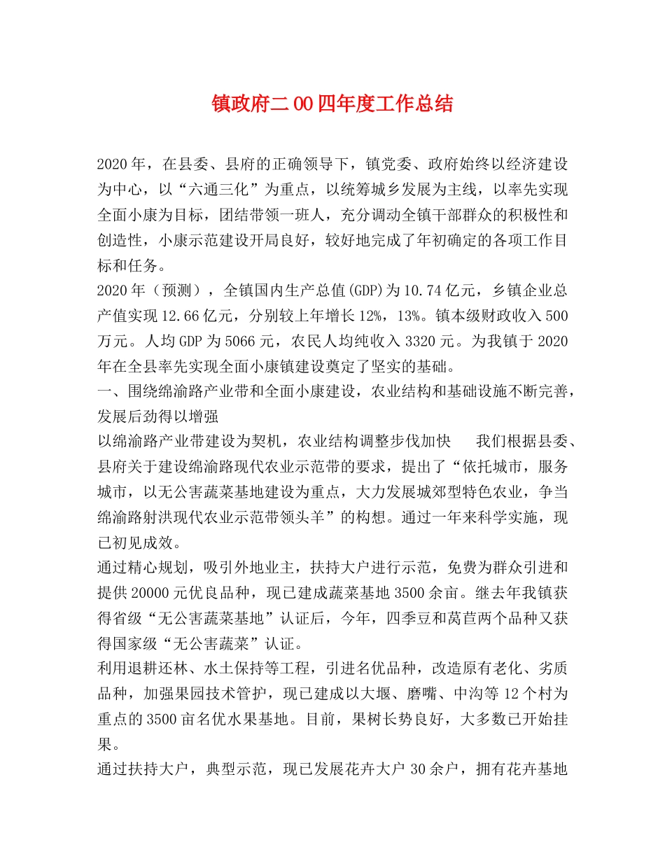 镇政府二OO四年度工作总结 _第1页